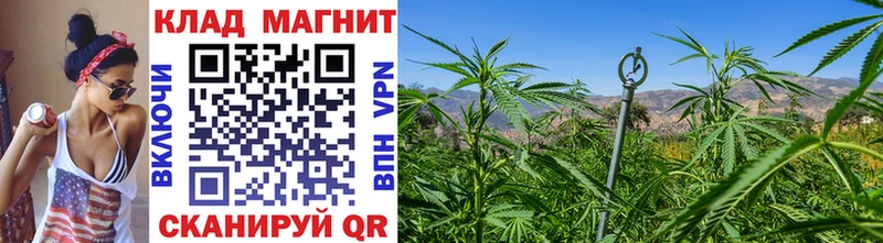 Продажа наркотиков Хилок Кокаин ГАШ МАРИХУАНА