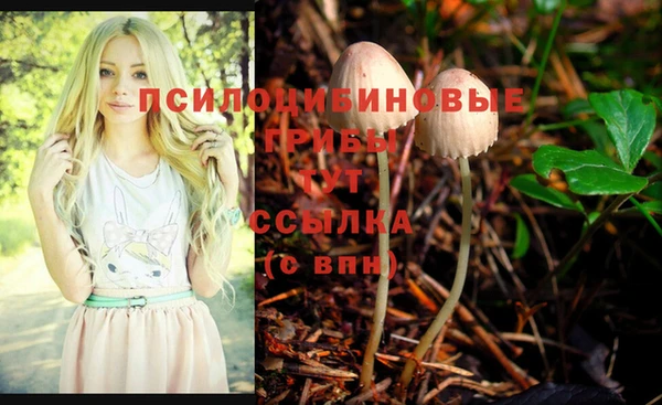 мескалин Михайловка