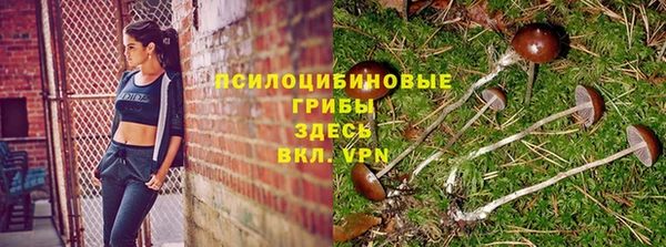метадон Михайловск