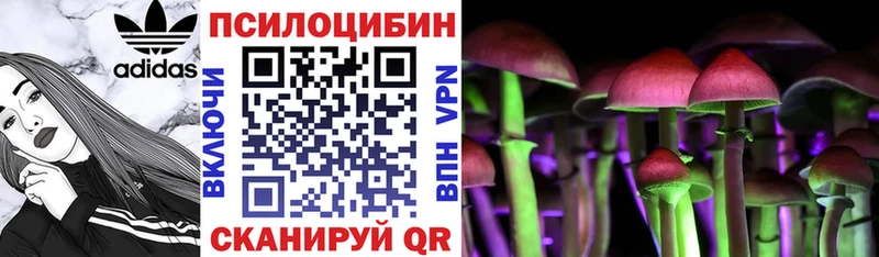 Псилоцибиновые грибы мицелий  Хилок 