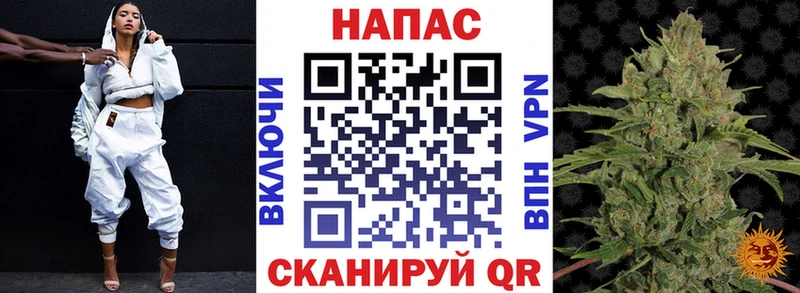 Канабис сатива  Хилок 